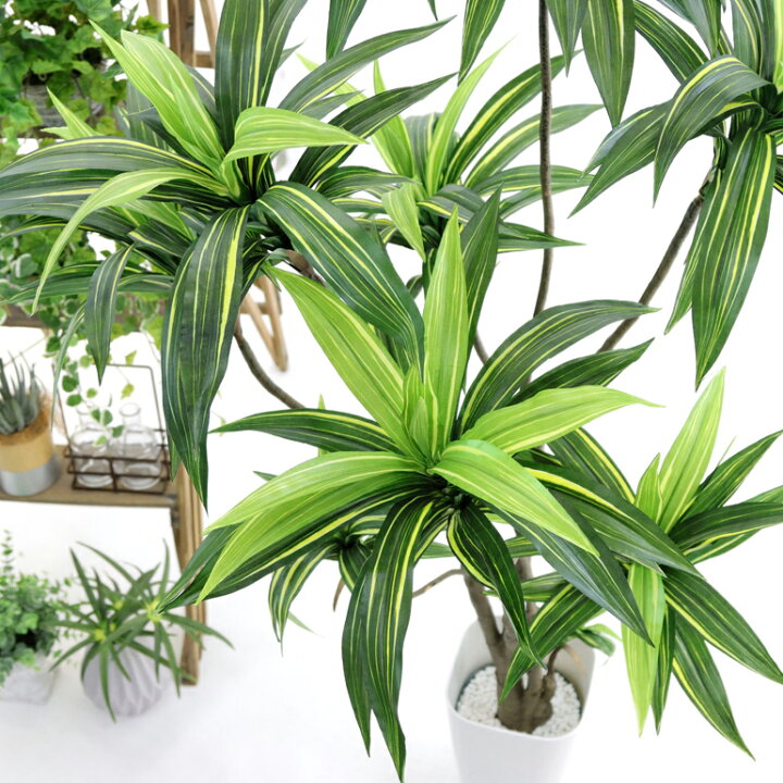 人工観葉植物 フェイクグリーン ドラセナ ワーネッキー 高さ約157 