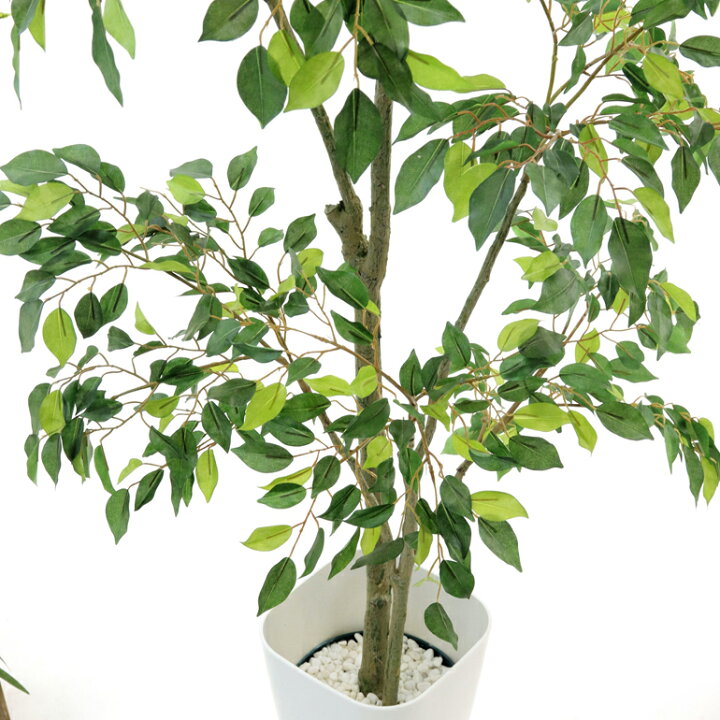 楽天市場 フェイクグリーン 人工 観葉植物 造花 光触媒 観葉樹 植木 シンプル オフィス おしゃれ インテリア 大型 室内 鉢 空気清浄 消臭 抗菌 銀 酸化チタン 擬木 リアル フィカス ベンジャミン 高さ140cm 幅70cm スマートポット Chic8 日時指定 ギフト不可 楽天市場 フェイクグリーン 人工 観葉植物 造花 光触媒 観葉樹 植木 シンプル オフィス おしゃれ インテリア 大型 室内 鉢 空気清浄 消臭 抗菌 銀 酸化チタン 擬木 リアル フィカス ベンジャミン 高さ140cm 幅70cm スマートポット Chic8 日時指定 ギフト不可
