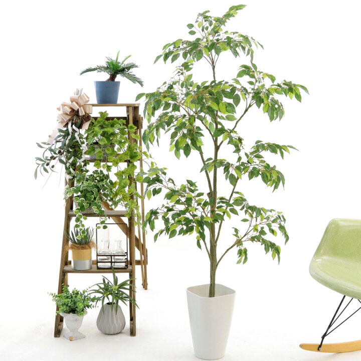 楽天市場 フェイクグリーン 人工 観葉植物 造花 光触媒 観葉樹 植木 シンプル オフィス おしゃれ インテリア 大型 室内 鉢 空気清浄 消臭 抗菌 銀 酸化チタン 擬木 リアル フィカス ベンジャミン 高さ140cm 幅70cm スマートポット Chic8 日時指定 ギフト不可 楽天市場 フェイクグリーン 人工 観葉植物 造花 光触媒 観葉樹 植木 シンプル オフィス おしゃれ インテリア 大型 室内 鉢 空気清浄 消臭 抗菌 銀 酸化チタン 擬木 リアル フィカス ベンジャミン 高さ140cm 幅70cm スマートポット Chic8 日時指定 ギフト不可