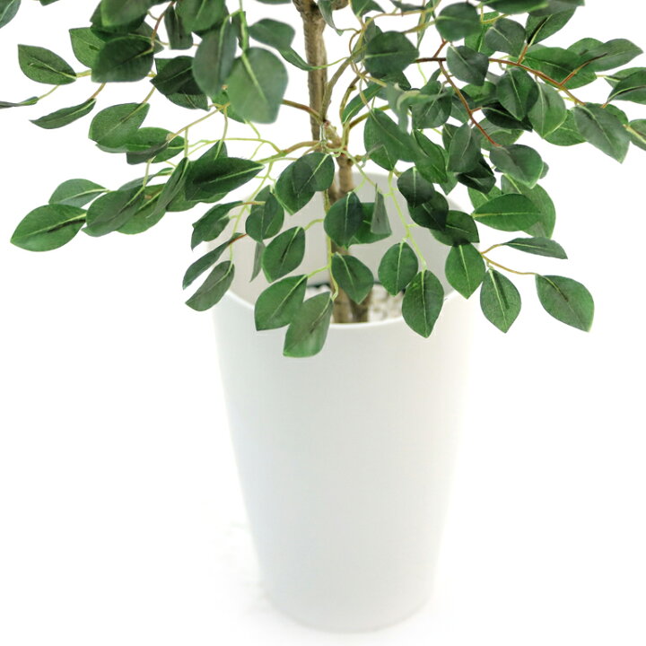 楽天市場 フェイクグリーン 人工 観葉植物 造花 光触媒 鉢 植木 葉 枝 観葉樹 シンプル オフィス おしゃれ インテリア 大型 室内 鉢 空気清浄 消臭 抗菌 銀 酸化チタン 擬木 リアル フィカス べンジャミン 高さ90cm 幅65cm 白丸ポット Chic7 日時指定 ギフト 楽天市場 フェイクグリーン 人工 観葉植物 造花 光触媒 鉢 植木 葉 枝 観葉樹 シンプル オフィス おしゃれ インテリア 大型 室内 鉢 空気清浄 消臭 抗菌 銀 酸化チタン 擬木 リアル フィカス べンジャミン 高さ90cm 幅65cm 白丸ポット Chic7 日時指定 ギフト
