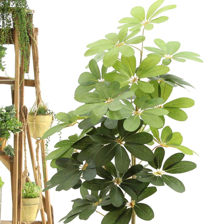 楽天市場 フェイクグリーン 造花 人工観葉植物 シェフレラ 100 105cm カポック 室内 部屋 風水 消臭 観葉植物 フェイク 人工 大 大型 リビング 玄関 人気 空気清浄 葉 葉っぱ リアル 室内用 インテリア 空気 植物 大きい 大きめ おしゃれ グリーン 鉢 植木鉢