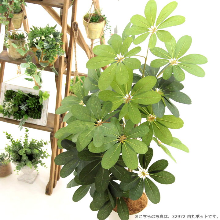楽天市場 フェイクグリーン 造花 人工観葉植物 シェフレラ 100 105cm カポック 室内 部屋 風水 消臭 観葉植物 フェイク 人工 大 大型 リビング 玄関 人気 空気清浄 葉 葉っぱ リアル 室内用 インテリア 空気 植物 大きい 大きめ おしゃれ グリーン 鉢 植木鉢