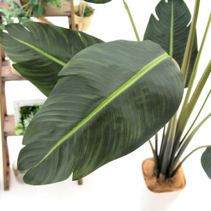 楽天市場】No9299 プレミアム光触媒フェイクグリーン 「ストレリチア  