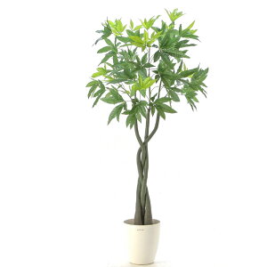 観葉植物 パキラ 大型の通販 価格比較 価格 Com