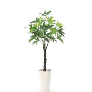観葉植物 パキラ 大型の通販 価格比較 価格 Com