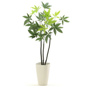 観葉植物 パキラ 大型の通販 価格比較 価格 Com