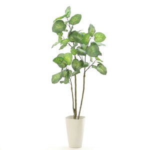 観葉植物 ウンベラータ 人工観葉植物の人気商品 通販 価格比較 価格 Com