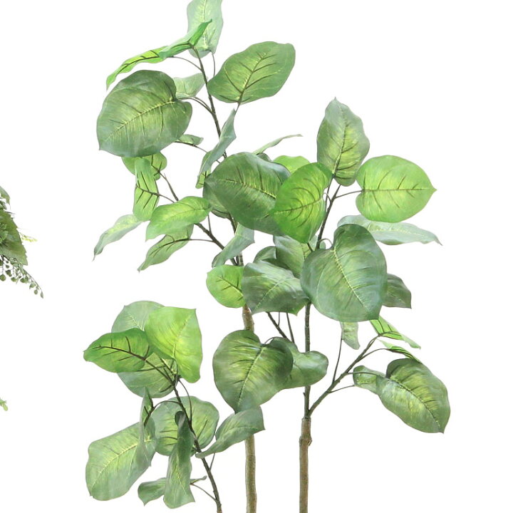 新生活 人工観葉植物 ウンベラータ ポット付き 高さ60cm P272 A 代引き不可 インテリアグリーン 造花 Abamedyc Com