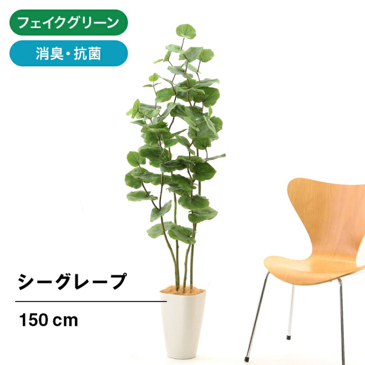 楽天市場 フェイクグリーン 人工 観葉植物 造花 光触媒 大型 リアル 造花 空気清浄 インテリア おしゃれ フェイク グリーン 玄関 室内 トイレ 部屋 消臭 抗菌 虫除け 大きい ベランダ プレゼント 鉢 銀 酸化チタン シーグレープ 4本立 スマートポット Chic8 ヤシの繊維