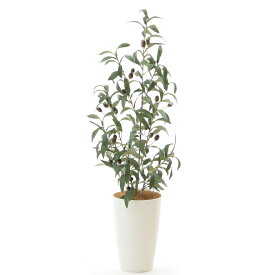 楽天市場 フェイクグリーン ヤシ 種類 植物 オリーブ の通販