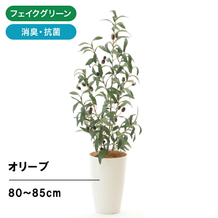 楽天市場 フェイクグリーン 造花 人工観葉植物 オリーブ 80 85cm 室内 部屋 風水 消臭 観葉植物 フェイク 人工 オリーブの木 大 大型 リビング 玄関 人気 空気清浄 葉 葉っぱ リアル 室内用 初心者 インテリア 空気 植物 大きい おしゃれ グリーン 鉢 植木鉢