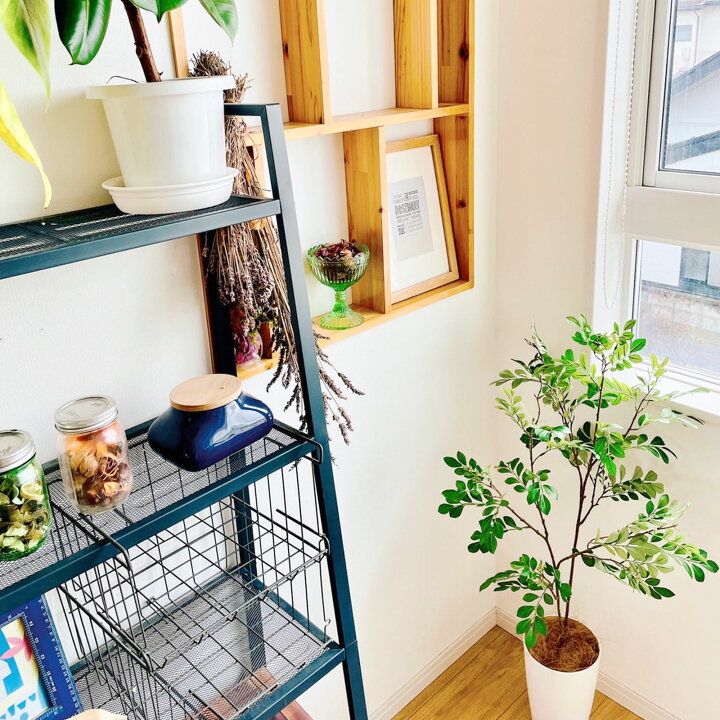 楽天市場 フェイクグリーン 造花 人工観葉植物 シマトネリコ 110cm 室内 部屋 風水 消臭 観葉植物 フェイク 人工 大 大型 リビング 玄関 人気 空気清浄 葉 葉っぱ リアル 室内用 初心者 インテリア 空気 植物 大きい おしゃれ フィカス グリーン 鉢 植木鉢 楽天市場 フェイクグリーン 造花 人工観葉植物 シマトネリコ 110cm 室内 部屋 風水 消臭 観葉植物 フェイク 人工 大 大型 リビング 玄関 人気 空気清浄 葉 葉っぱ リアル 室内用 初心者 インテリア 空気 植物 大きい おしゃれ フィカス グリーン 鉢 植木鉢