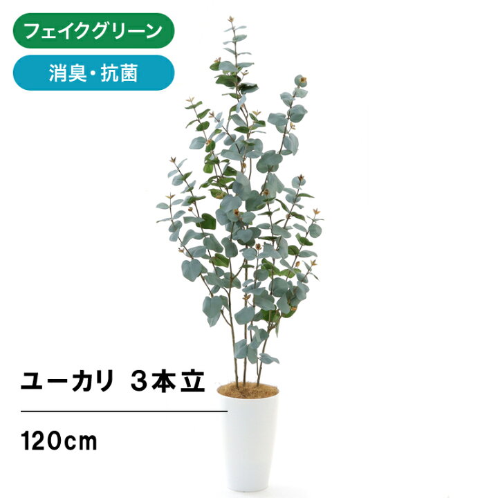 楽天市場 フェイクグリーン 造花 人工観葉植物 ユーカリ シルバーリーフ 1cm 3本立 室内 部屋 風水 消臭 観葉植物 フェイク 人工 大 大型 リビング 玄関 人気 空気清浄 葉 葉っぱ リアル 室内用 インテリア 空気 植物 大きめ おしゃれ フィカス グリーン 鉢