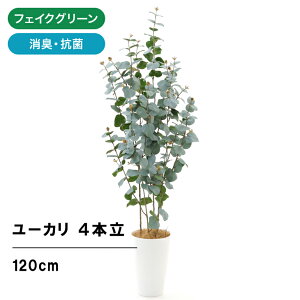 ユーカリ シルバー 農業資材 ガーデニング用品の人気商品 通販 価格比較 価格 Com
