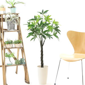 光触媒 観葉植物 フェイクグリーン 造花の人気商品 通販 価格比較 価格 Com 光触媒 観葉植物 フェイクグリーン 造花の人気商品 通販 価格比較 価格 Com