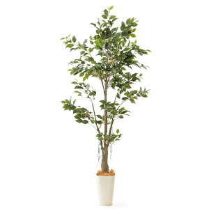 観葉植物 造花の人気商品 通販 価格比較 価格 Com