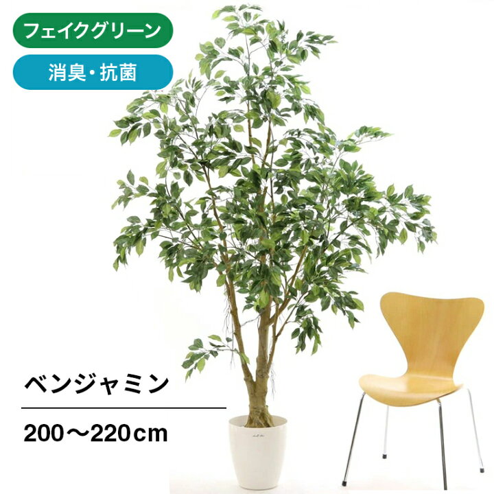 楽天市場 フェイクグリーン 人工 造花 光触媒 観葉植物 観葉樹 大型 擬木 高さ 210cm リアル 造花 光触媒 空気清浄 インテリア おしゃれ フェイク グリーン 玄関 室内 トイレ 部屋 消臭 大きい プレゼント 鉢 酸化チタン 人工 風水 ベンジャミン ラスターポット265 No