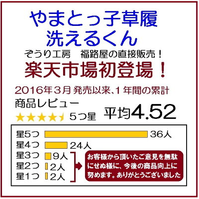 やまとっ子草履洗えるくん【子供用ぞうり水洗いOK!ミサトッ子草履と同じ町から生まれた新作草履室内スリッパにもOK!】