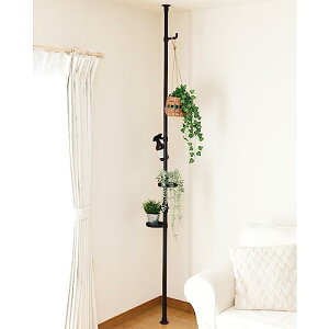 [RP] ˂ bN |[nK[ v^[X^h ^b`˂ (pVĎ擾) 30×s30×190-260cm t[X^h  g[2EtbN2t gi }bg