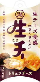 生・チー トリュフチーズ27gx12袋