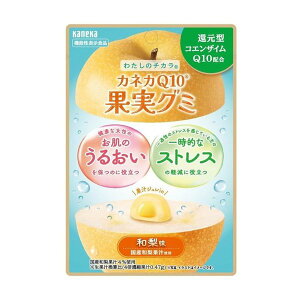 KANEKA �J�l�JQ10 �ʎ��O�~ 40gx10�� �a���� �Ҍ��^�R�G���U�C��Q10�z�� ���Y�a���ʏ`�g�p