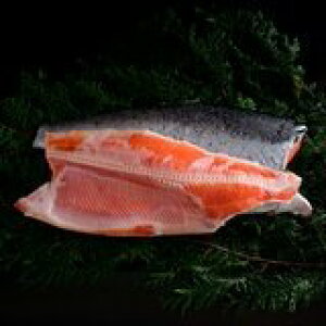 y1ZbgzyⓀz艖tB 10kgyCqɁz