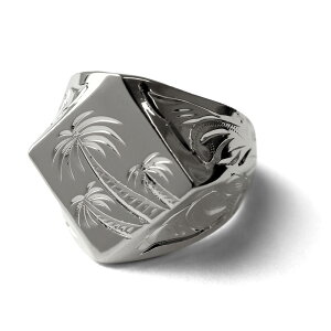 BFF uh p[c[ 䃊O [W  Vo[ 18K F H` _C^ X^vO VOlbgO nC nCAWG[ 蒤  pBOXt