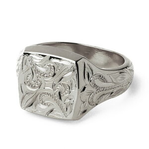 BFF uh 䃊O Y XNGA w Vo[925 Vo[ F nC nCAWG[ 蒤  AM[Ή pBOXt