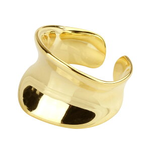 Vo[925 O Vo[O w fB[X S[h    ChO 18K GP Vv AM[Ή I[vO t[TCY