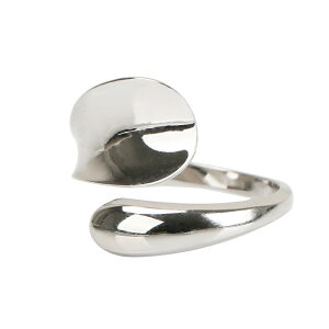 Vo[925 VvO Vo[ w  XN[ g 炩 IV silver925