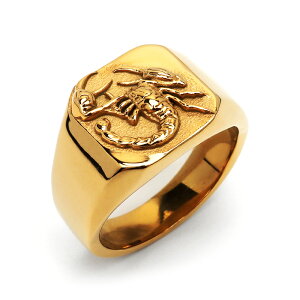 yX[p[SALE 10%OFF 2,860~2,574~ zXeX XR[sIO 䃊O Y S[h Vo[ X^vO VOlbgO T\  j[N  w A