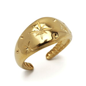 XeX Xp[NO S[hO LL Ղ S[h 18K GP t[TCY fB[X  w AM[Ή