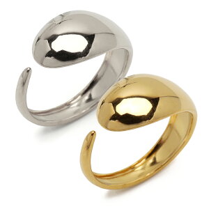 XeX Ղ jAXO ό`O Vv S[h 18K GP Vo[ t[TCY fB[X  w AM[Ή