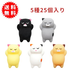 Qɂ񂱃XNC[Y 525 XgX