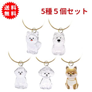 񂱂̃^CJvZ 55Zbg ы  ̖т̓ꕨ