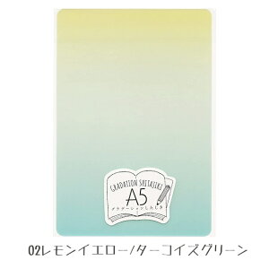 ���h�v���X�`�b�N A5 �O���f�[�V������������ �S5��� ���{�����~�� ������