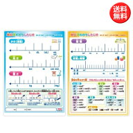 共栄プラスチック 単位早わかり下敷 B5判 小学生用したじき 日本製 下敷き 下じき