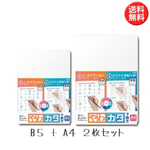 ソニック やわカタ下敷き 2枚セット (B5サイズ + A4サイズ) 透明(すりガラス状) SK-4081-T SK-4092-T やわらかいしたじき やわかたしたじき 下じき