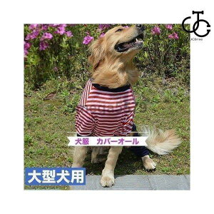  Jo[I[ p[X  ̕ ^ ^ N[ Ђ Ȃ ʂQ hbOEFA U