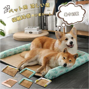 ybgxbh V[g N[}bg ybgp Ђ M ΍ Lpp }bg ⊴}bg ڐG⊴  􂦂 ~pbh p}bg