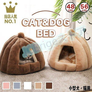 xbh 􂦂 ݌Ɉ| ~p ˂ nEX 􂦂 g lRxbh xbh h[^ Lbgxbh  NbVt p k