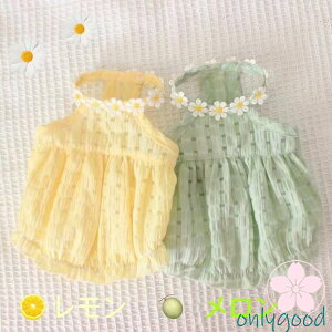 �� �ĕ��@�����h�b�O�E�F�A�y�b�g�������s�[�X �y�b�g�E�F�A ���o���� ���U�� ���̕� ���킢�� �u�₩�F���C�G���[�O���[��