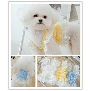 V   ̕ pi hbOEFA EFfBOhX s[X [X p[eB[hX  ybgEFA ybgObY