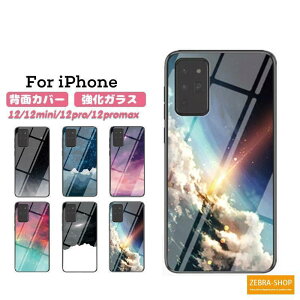 iPhone 12Pro max dx9H KX 嗝Ε y ϏՌ X}zP[X ACtH 12 ~j v }bNX    킢 wʃJo[