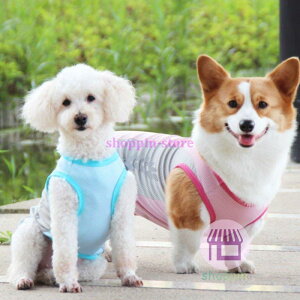 p pxXg ^p Ђ肨U xXg G炵či MǑ΍ ΍ ⊴xXg  N[ Vc o P ybg  ĕ