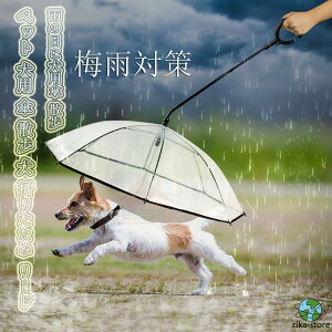 ~J΍ybg p P U  ܂肽 [h ybg ^ ^ J   J JP ybgpJ