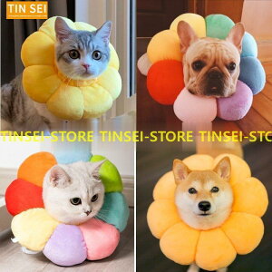 GUxXJ[ L   GUxX TCY߉ z ӂӂ NbV  \tg h[ic ی^ lR ˂ Ck  ybgpi