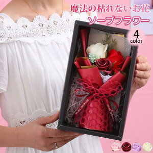 o^C ̓ \[vt[ ԑ Mtg u[P {bNXt[  V t[ TvCY Ό ͂Ȃ