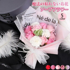 o^C ̓ \[vt[ ԑ Mtg u[P {bNXt[  V t[ TvCY Ό ͂Ȃ