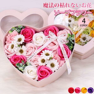 o^C ̓ \[vt[ ԑ Mtg u[P {bNXt[  V t[ TvCY Ό ͂Ȃ